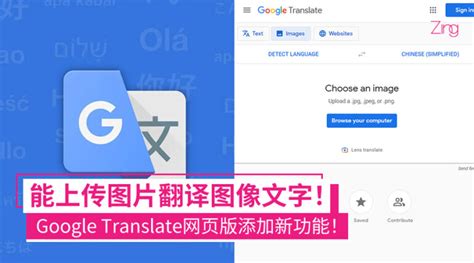 點綴|點綴 的 英语 Translation 